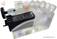 Endo Training Model Castillo