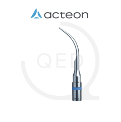 Scaling Nº 1 Universal