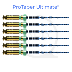 ProTaper Ultimate™ FX 31mm (6)