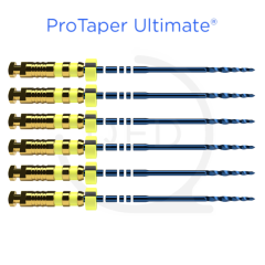 ProTaper Ultimate™ FXL 31mm (6)
