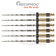 RECIPROC® R40|31mm (6)