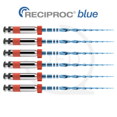 RECIPROC® blue R25|31mm (6)