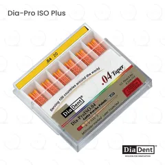 DiaDent® Dia-Pro ISO Gutta Percha 20/.04 (60)