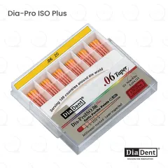 DiaDent® Dia-Pro ISO Gutta Percha 20/.06 (60)
