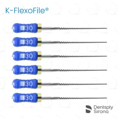 ReadySteel® K-FlexoFile® 30, 31mm (6)