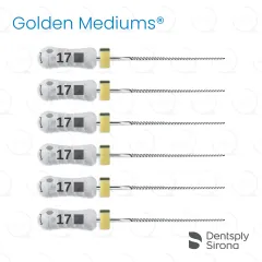 ReadySteel® K-FlexoFile® Golden Mediums® 17, 25mm (6)