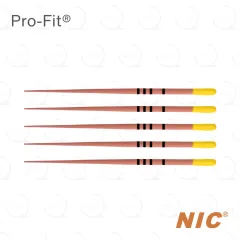 Pro-Fit® Gutta Percha 20/.06 (60)