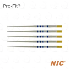Pro-Fit® Paper Points 20/.06 (100)