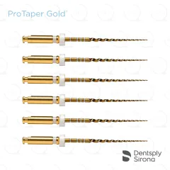 ProTaper Gold® S2, 25mm (6)