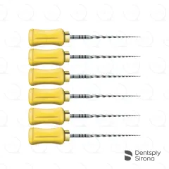 ProTaper® Universal Hand F1, 21mm (6)