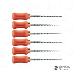 ProTaper® Universal Hand F2, 25mm (6)
