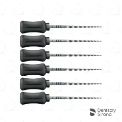 ProTaper® Universal Hand F4, 25mm (6)