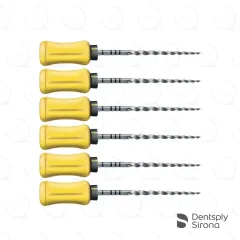 ProTaper® Universal Hand F5, 31mm (6)