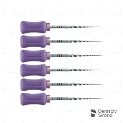 ProTaper® Universal Hand S1, 31mm (6)