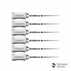 ProTaper® Universal Hand S2, 31mm (6)