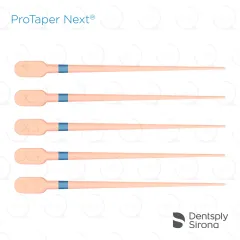ProTaper Next® Conform Fit® Gutta Percha, X3 (60)