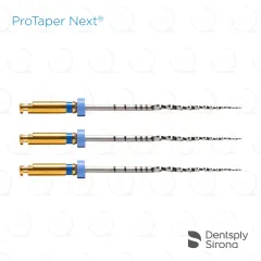 ProTaper Next® X3, 31mm (3)