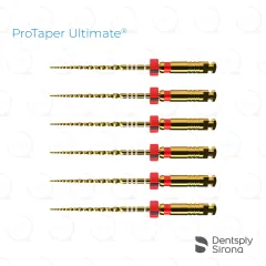 ProTaper Ultimate® F2, 21mm (6)