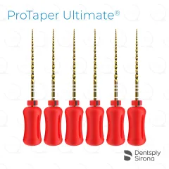 ProTaper Ultimate® Hand F2, 31mm (6)