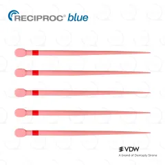 RECIPROC® blue Gutta Percha R25 (60)