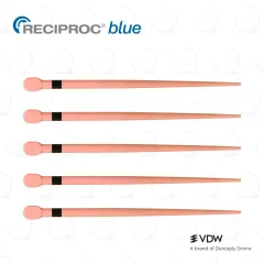 RECIPROC® blue Gutta Percha R40 (60)