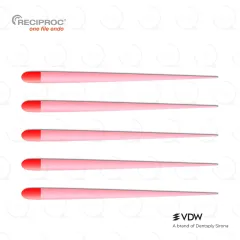 RECIPROC® Gutta Percha R25 (60)