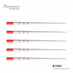 RECIPROC® Paper Points R25 (144)