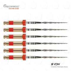RECIPROC® R25|21mm (6)