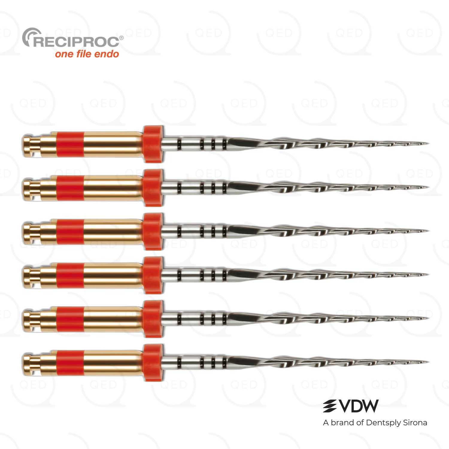 RECIPROC® R25|31mm (6)