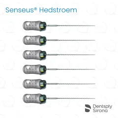 ReadySteel® Senseus® Hedstroem 08, 21mm (6)