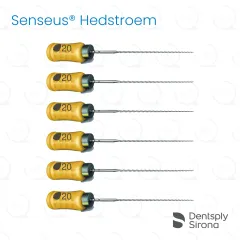 ReadySteel® Senseus® Hedstroem 20, 21mm (6)