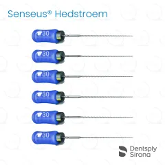 ReadySteel® Senseus® Hedstroem 30, 25mm (6)