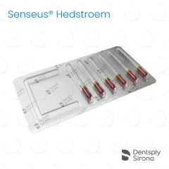 ReadySteel® Senseus® Hedstroem 55, 25mm (6)
