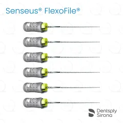 ReadySteel® Senseus® FlexoFile® 08, 31mm (6)