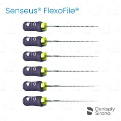 ReadySteel® Senseus® FlexoFile® 10, 25mm (6)
