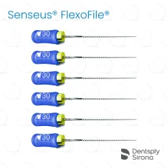 ReadySteel® Senseus® FlexoFile® 30, 31mm (6)
