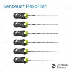 ReadySteel® Senseus® FlexoFile® 40, 25mm (6)