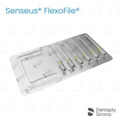 ReadySteel® Senseus® FlexoFile® 45, 25mm (6)