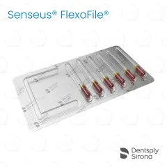 ReadySteel® Senseus® FlexoFile® 55, 21mm (6)
