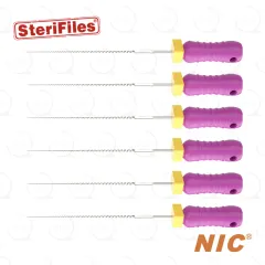 Sterifiles® K-File 10, 25mm (6)