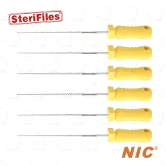 Sterifiles® K-File 20, 25mm (6)