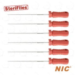 Sterifiles® K-File 25, 31mm (6)