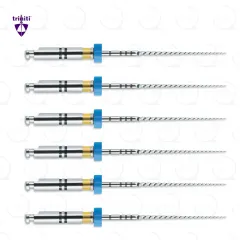 Triniti® 20/.04, 21mm (6)