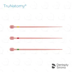 TruNatomy® Conform Fit® Gutta Percha, Assorted (60)