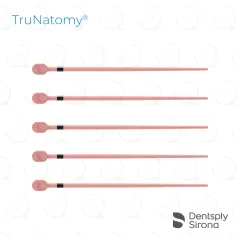 TruNatomy® Conform Fit® Gutta Percha, Large (60)