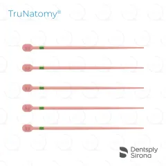TruNatomy® Conform Fit® Gutta Percha, Medium (60)
