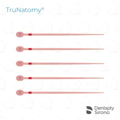 TruNatomy® Conform Fit® Gutta Percha, Prime (60)