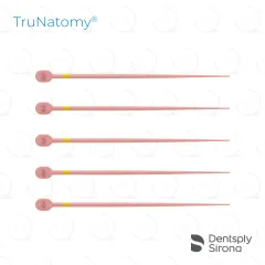 TruNatomy® Conform Fit® Gutta Percha, Small (60)