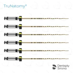 TruNatomy® Large 46/.02v, 31mm (6)