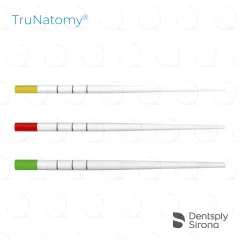 TruNatomy® Paper Points, Assorted (180)